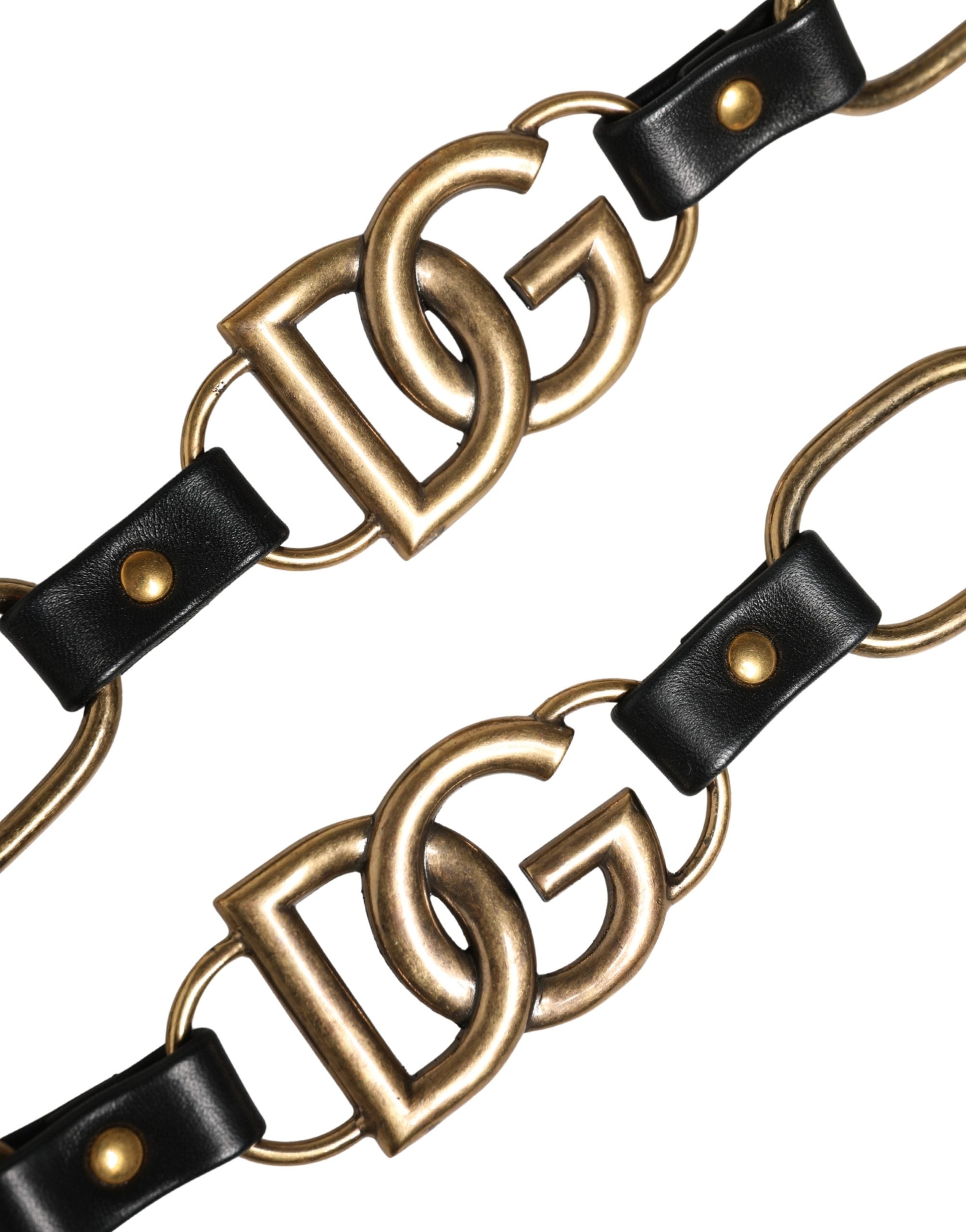 Black Leather Gold Chain Bag Accessory Shoulder Strap