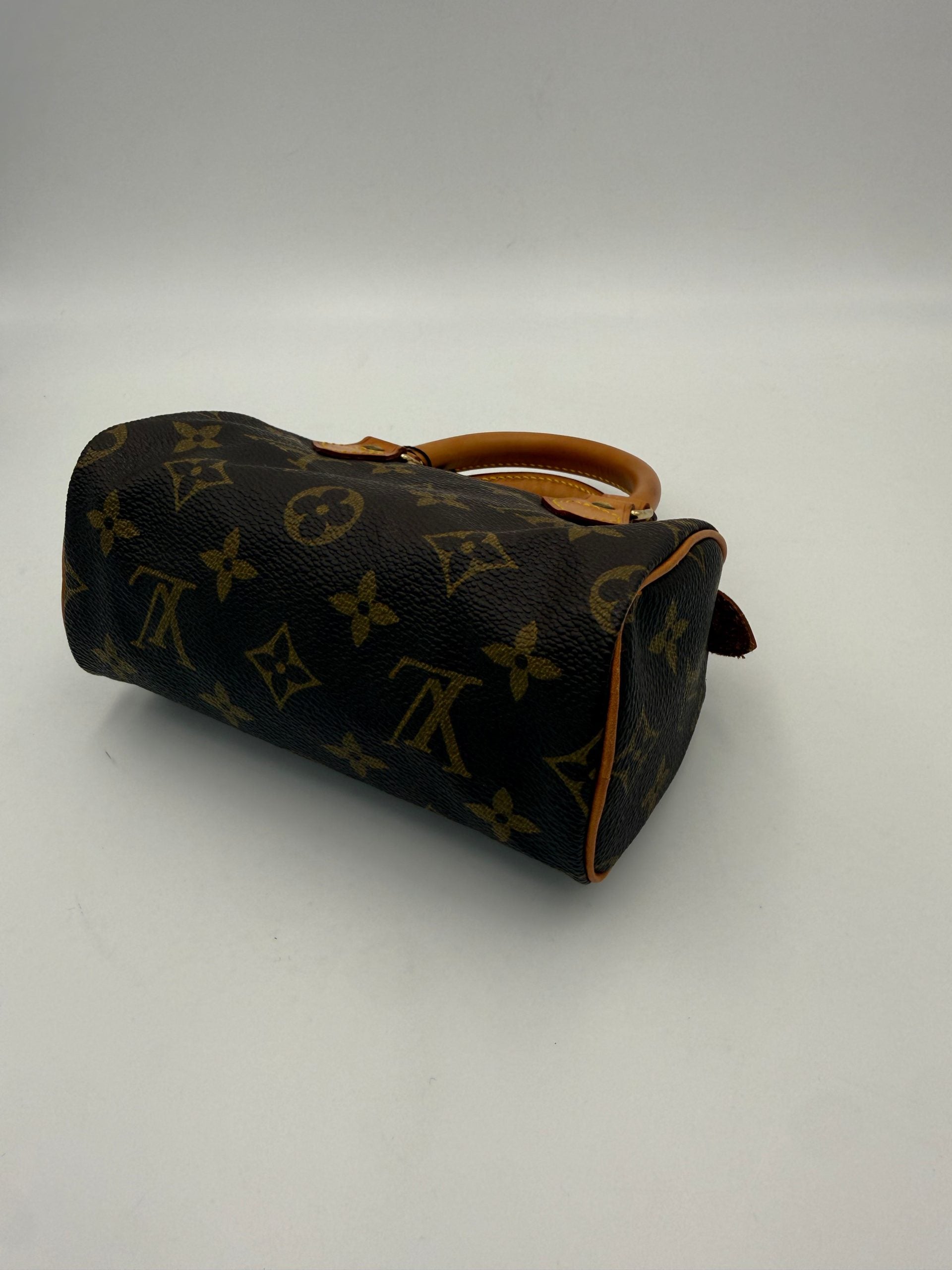LOUIS VUITTON Nano Speedy Monogram Handbag