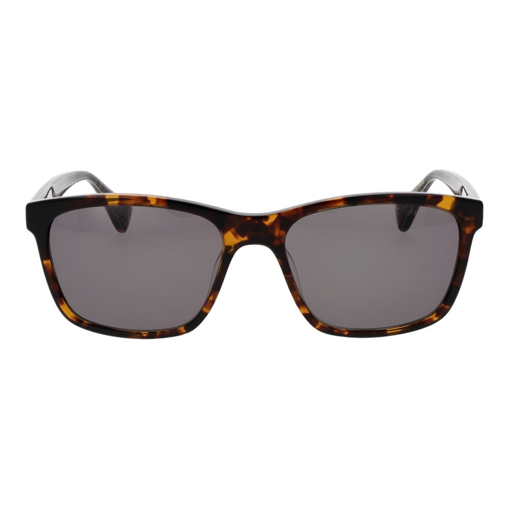 Brown Acetate Sunglasses