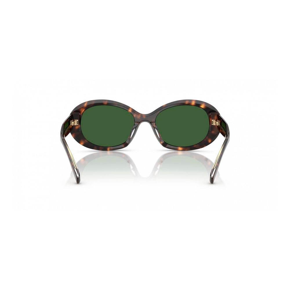 Brown Acetate Sunglasses