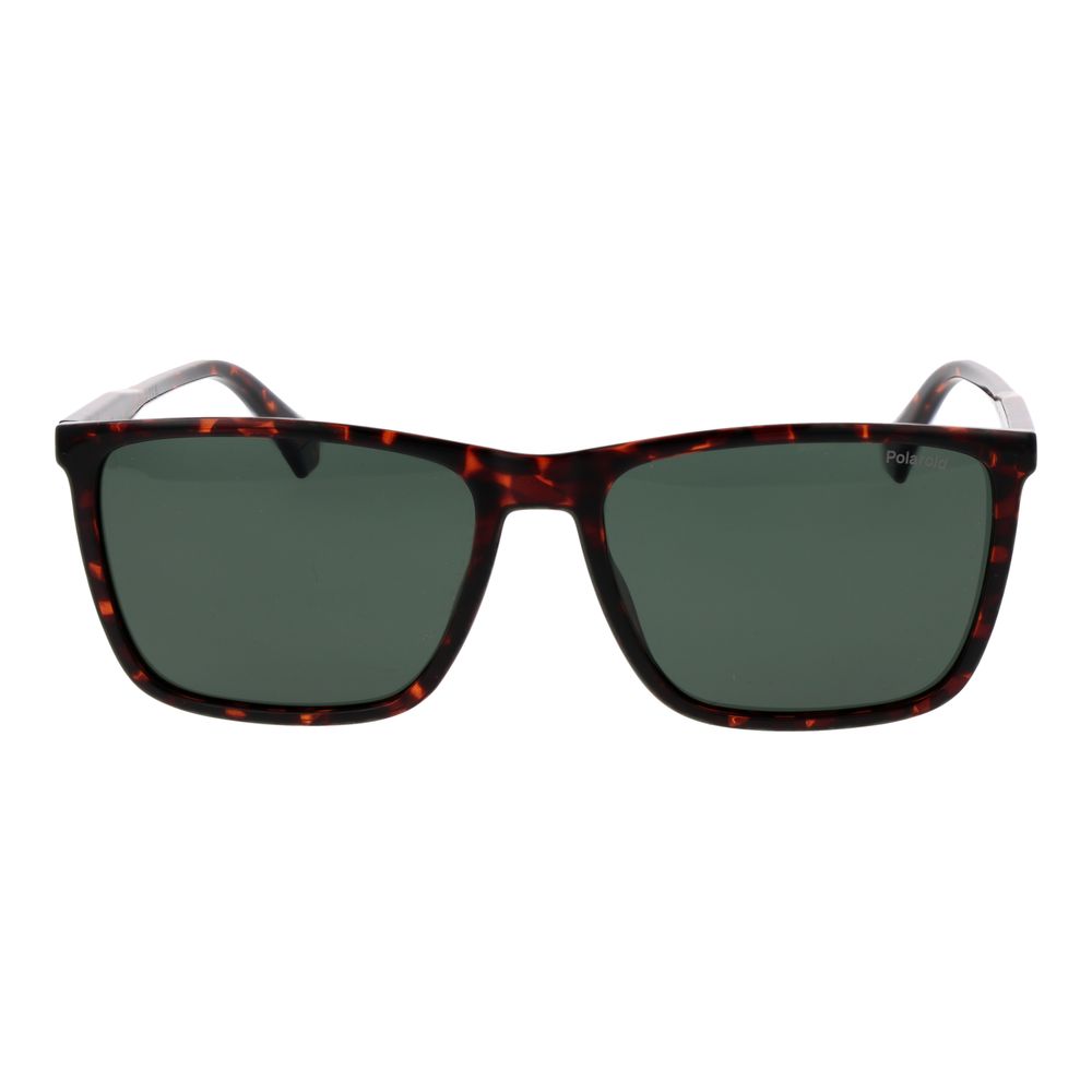 Brown Plastic Sunglasses