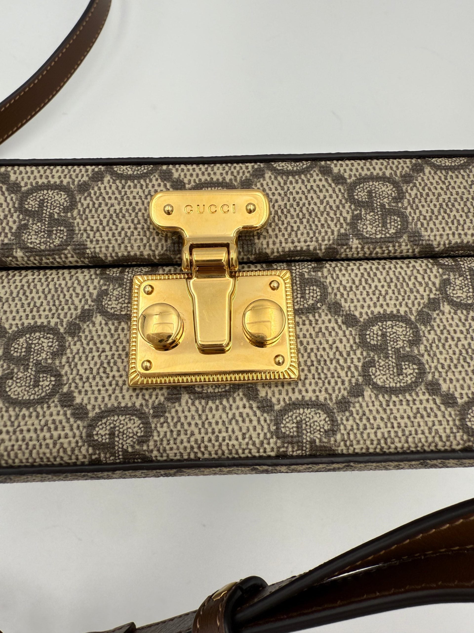 GUCCI TRUNK GG Supreme Trunk