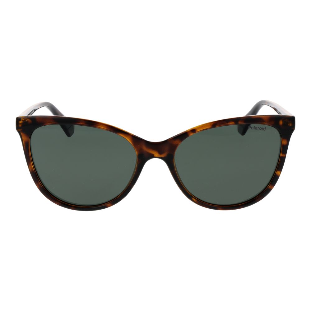 Brown Plastic Sunglasses