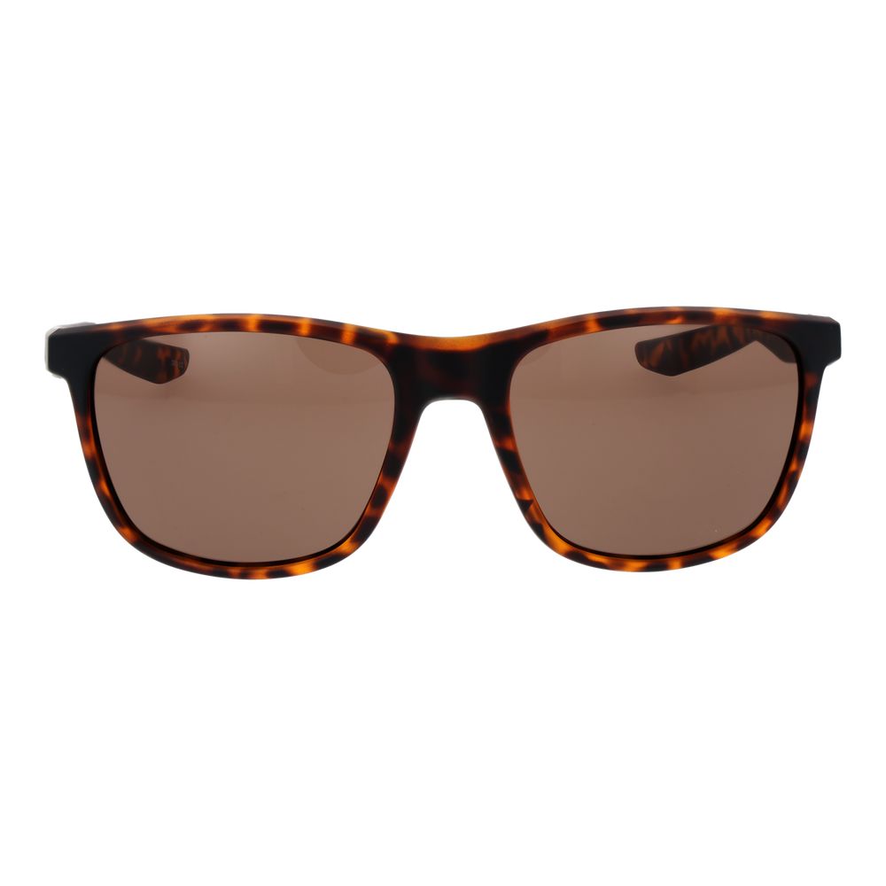 Brown Plastic Sunglasses