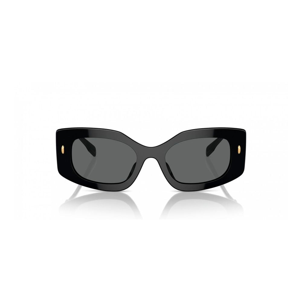 Black Acetate Sunglasses